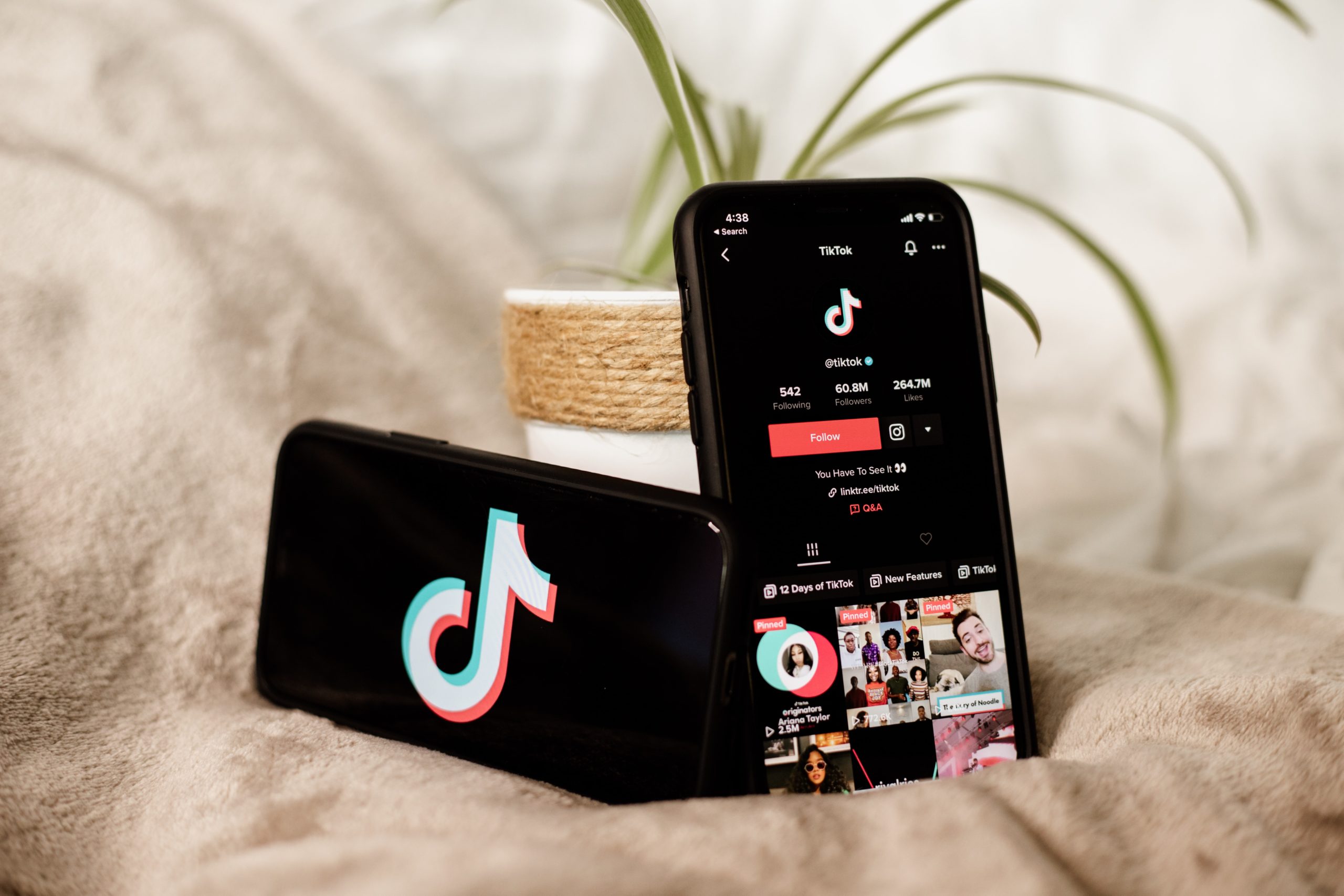 TikTok followers
