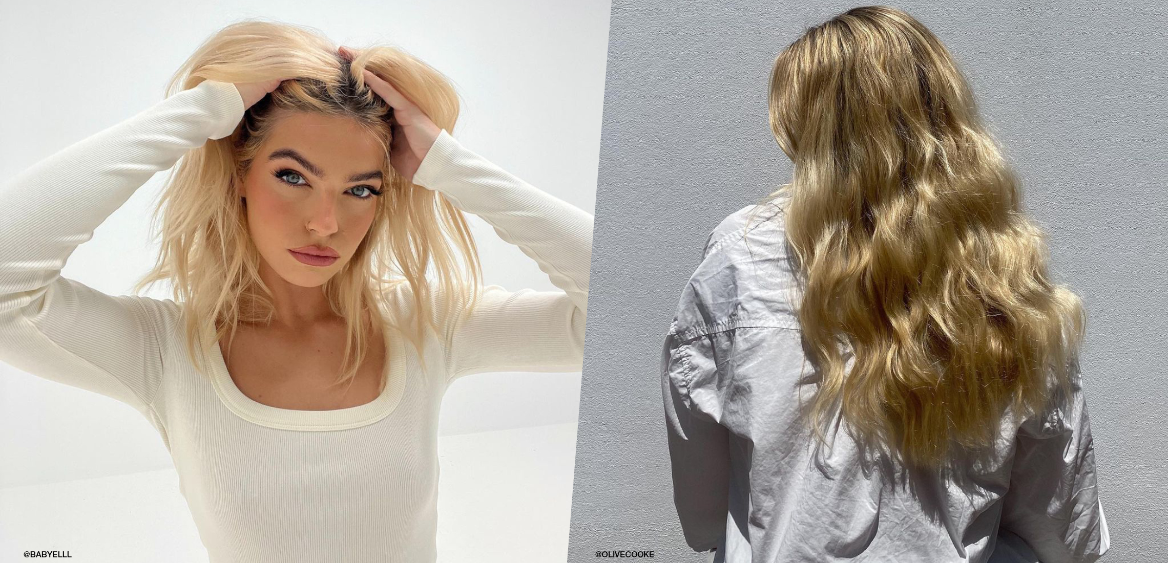 blonde specialist sunshine coast